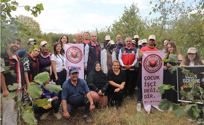 Hendek’te Tarım İncelememesi