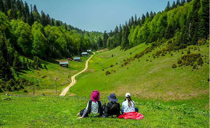 İşte Sakarya’da Kadraja Alınan En İyi 6 Fotoğraf