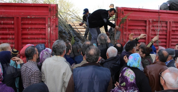 3877 ADET FİDAN DAĞITILDI