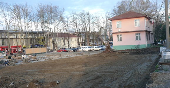 AĞAÇLARIN KİME ZARARI VARDI?