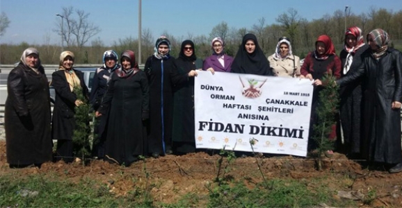 AK PARTİ KADIN KOLLARI AĞAÇ DİKTİ