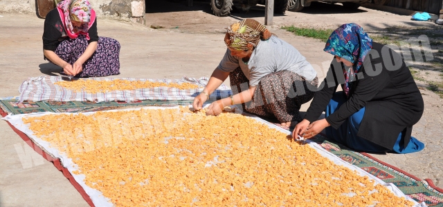 AKSU KÖYÜ’NDE KIŞA HAZIRLIK