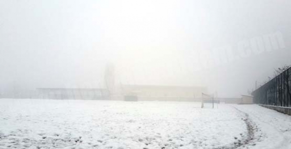 AMATÖRE KAR ENGELİ