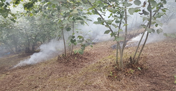 Anız Yakmak Yasaklandı