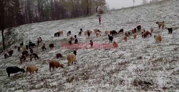 BAHARI BEKLERKEN KAR YAĞDI