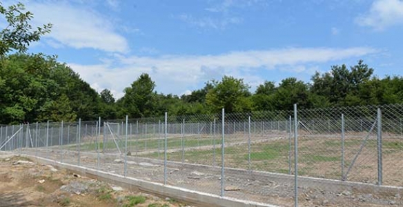 BAŞIBOŞ HAYVANLAR YUVALARINA KAVUŞACAK