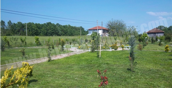   BEYLİCE’DE BOTANİK BAHÇE    