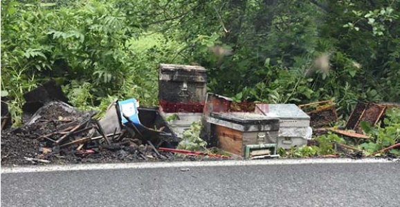 Binlerce Arı Telef Oldu