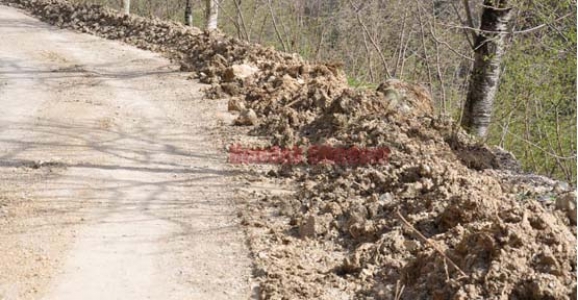 BİR TEŞEKÜR BİR SİTEM