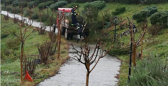Botanik Park’ta Bakım