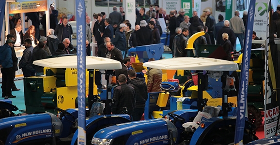 Bu Fuara İhtiyacımız Var