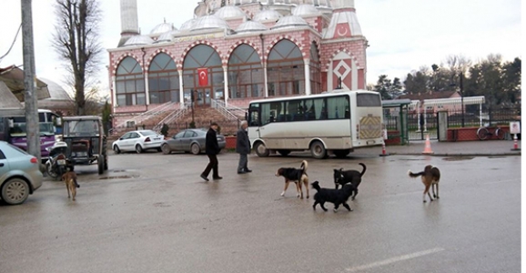 BU ŞİKAYET YEŞİLYURT MAHALLESİNDEN 
