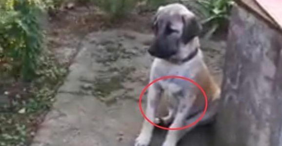 Bulan Ödüllendirilecek