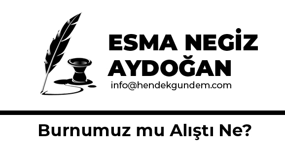 Burnumuz mu Alıştı Ne?
