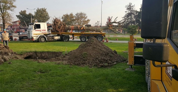 BÜYÜKŞEHİR BELEDİYESİNDEN DOĞA’YA SAYGI