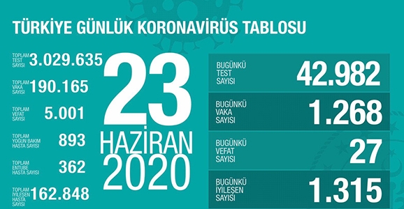 Can Kaybı 5001, Vaka Sayısı 190 Bin 165