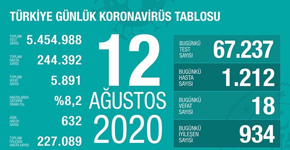 Can Kaybı 5891, Hasta Sayısı 244 Bin 392