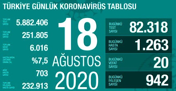 Can Kaybı 6016, Hasta Sayısı 251 Bin 805