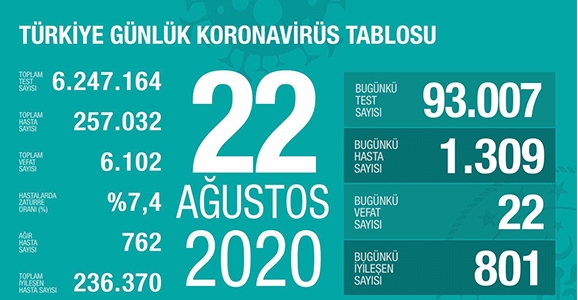 Can Kaybı 6102, Hasta Sayısı 257 Bin 32