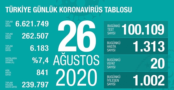 Can Kaybı 6183, Hasta Sayısı 262 Bin 507