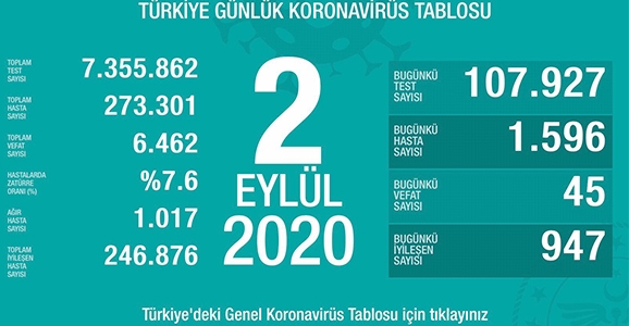 Can Kaybı 6462, Hasta Sayısı 273 Bin 301