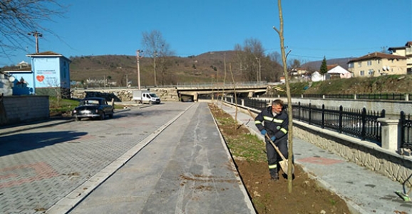 ÇAY KENARINA 80 ADET ÇINAR