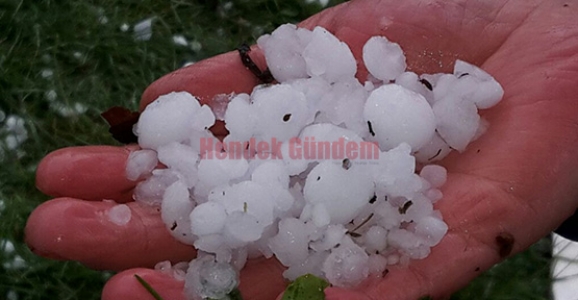 CEVİZ BÜYÜKLÜĞÜNDE DOLU