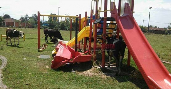 ÇOCUK PARKIMI, HAYVAN PARKIMI 