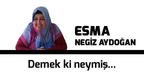 Demek ki neymiş...