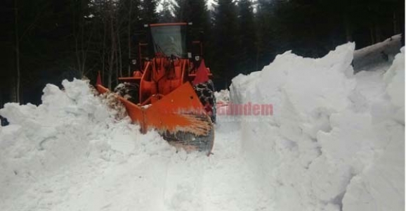 DİKMEN GÖRÜCÜYE ÇIKIYOR