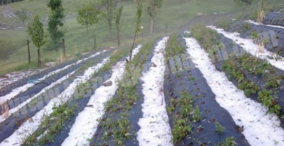 DİKMEN MAHALLESİNİ DOLU VURDU