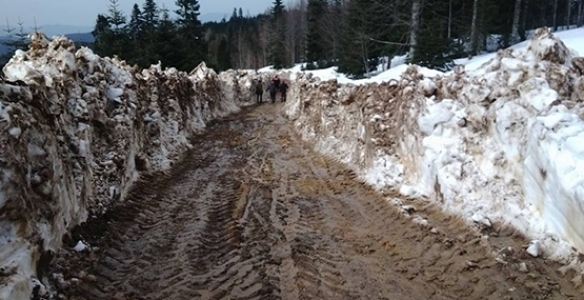 DİKMEN YAYLA YOLU AÇILDI
