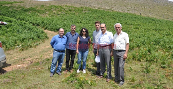 DİKMENDE PLANLAMA VE İNCELEME ÇALIŞMALARI