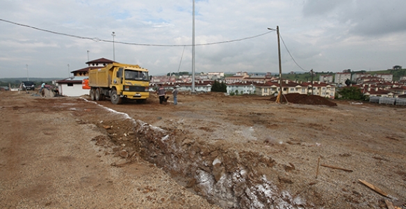 Doğanın Tüm Renkleri Botanik Park’ta Buluşacak