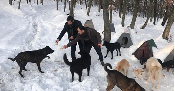 Elleriyle Beslediler