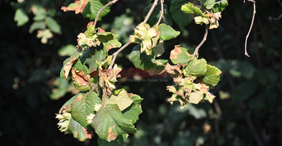 EMANETE ÜRÜN VERMEYİN