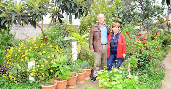 EMEKLİ MÜFETTİŞ AYDINLAR’IN BAHÇESİNDE YOK YOK 
