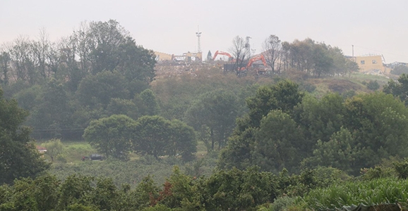 Facianın Boyutu Gün Aydınlanınca Ortaya Çıktı