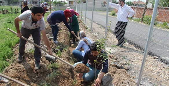 FİDANLAR TOPRAKLA BULUŞTU