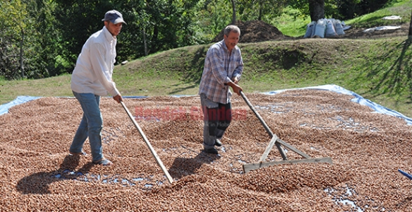 FINDIĞINI SATMAYAN PİŞMAN OLDU