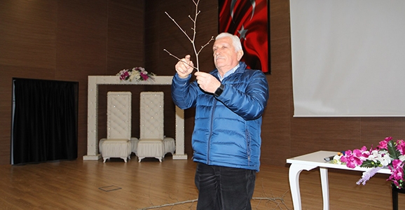 Fındık Arazilerinin Planlanması Fındık Üretimi