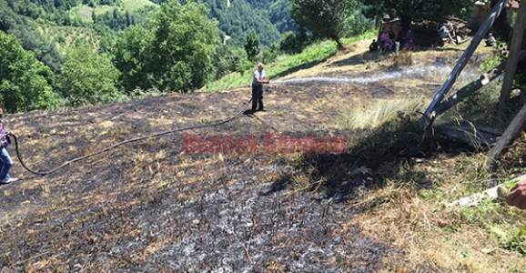 FINDIK BAHÇESİ KÜL OLDU