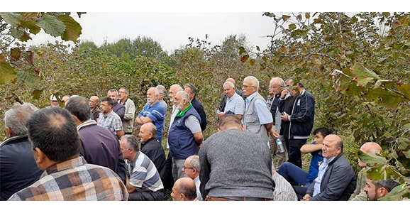 Fındık Çiftçisine Budama Eğitimi Verildi