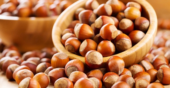 FINDIK DESTEK DİLEKÇELERİ DAĞITILMAYA BAŞLANDI