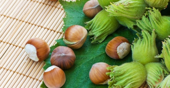 FINDIK DESTEKLEME ÖDEMELERİ BAŞLIYOR