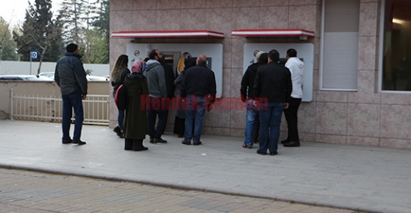 FINDIK ÜRETİCİLERİNİN DİKKATİNE