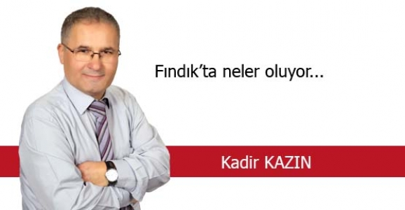 FINDIK’TA NELER OLUYOR…