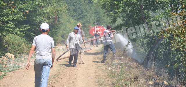 GÜNEY KÖYÜ’NDE KORKUTAN YAGINLAR