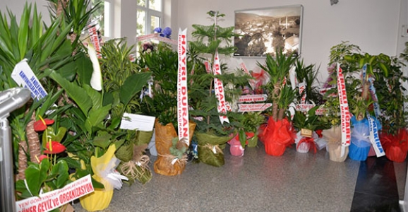 Hendek Belediyesi Çiçek Bahçesine Döndü