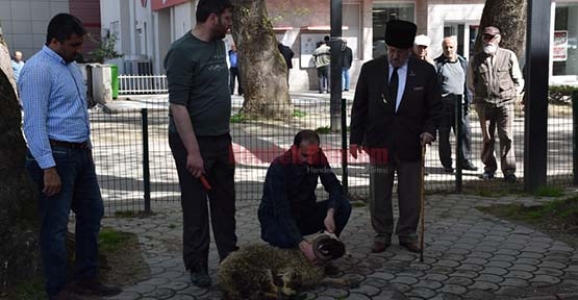 HENDEK EMNİYET MÜDÜRLÜĞÜ ŞEHİTLERİMİZ İÇİN KURBAN KESTİ